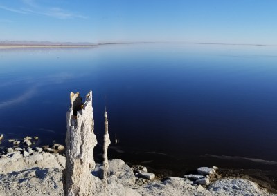 Salton Sea